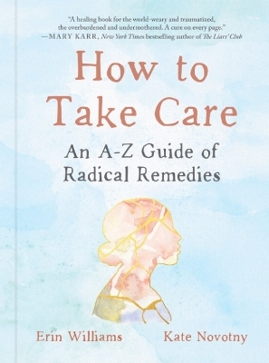 How to Take Care - Erin Williams, Kate Novotny