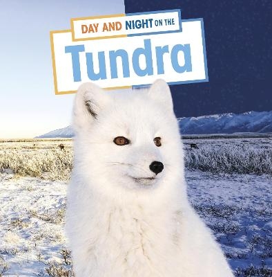 Day and Night on the Tundra - Mary Boone