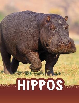 Hippos - Jaclyn Jaycox