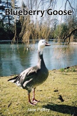 Blueberry Goose - Jane Paffey