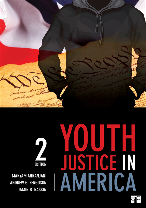 Youth Justice in America - Maryam Ahranjani, Andrew G. Ferguson, Jamin B. Raskin