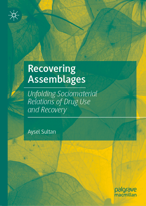 Recovering Assemblages - Aysel Sultan