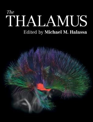 The Thalamus - 