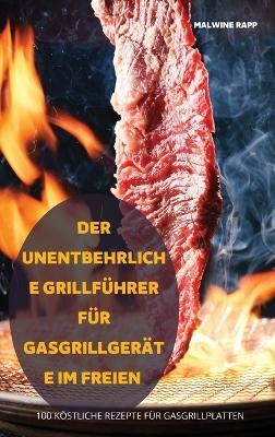 Der Unentbehrliche Grillführer Für Gasgrillgeräte Im Freien -  Malwine Rapp