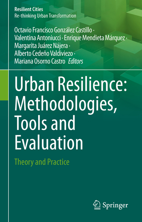 Urban Resilience: Methodologies, Tools and Evaluation - 