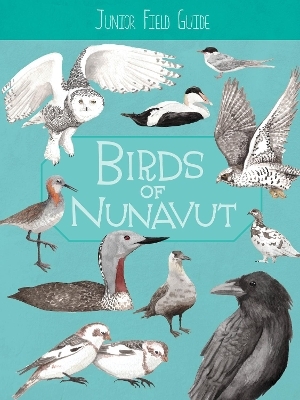 Junior Field Guide: Birds of Nunavut - Carolyn Mallory