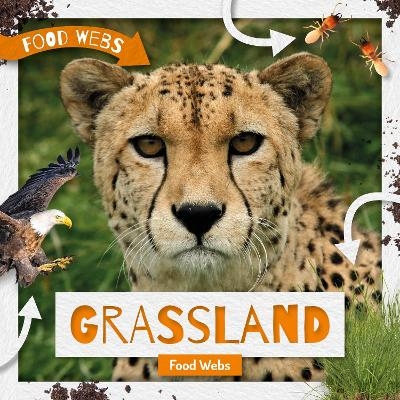 Grassland Food Webs - Harriet Brundle