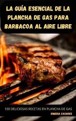 La Guía Esencial de la Plancha de Gas Para Barbacoa Al Aire Libre -  Emigdia Casares