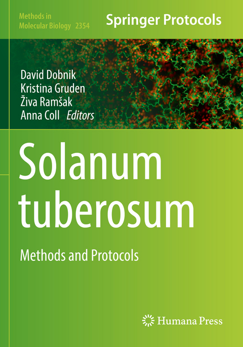 Solanum tuberosum - 