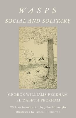 Wasps - Social and Solitary;With an Introduction by John Burroughs - Illustrated by James H. Emerton - George Williams Peckham, Elizabeth Peckham