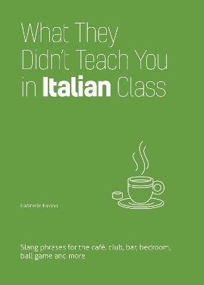 What They Didn't Teach You in Italian Class - Erin Coyne, Igor Fisun