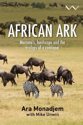 African ark - Ara Monadjem