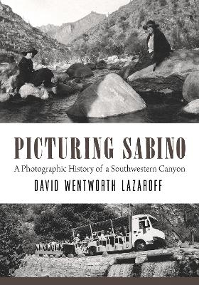 Picturing Sabino - David Wentworth Lazaroff