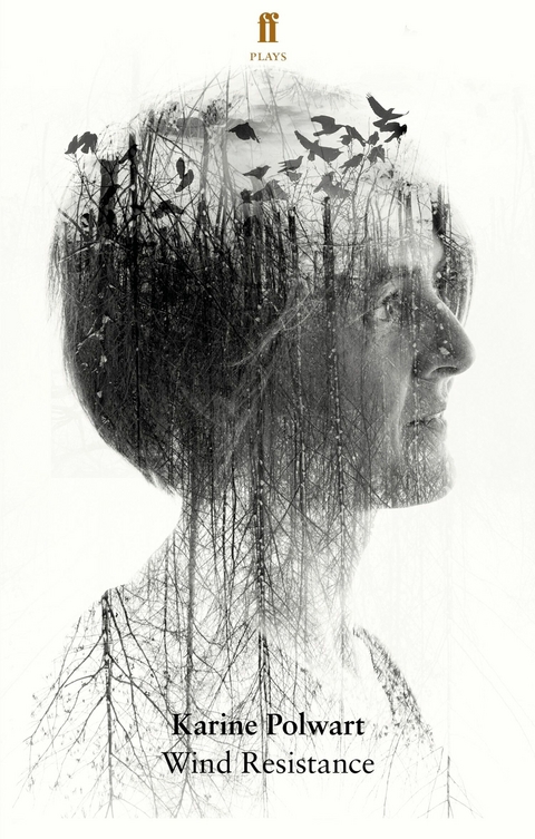 Wind Resistance -  Karine Polwart Ltd