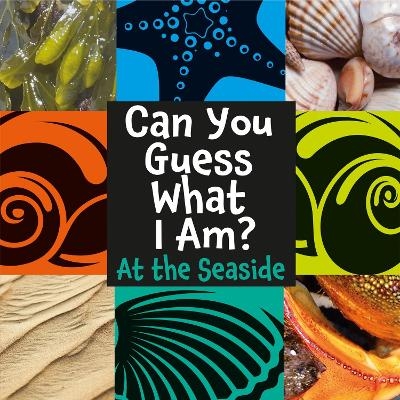 Can You Guess What I Am?: At the Seaside - J.P. Percy