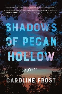 Shadows of Pecan Hollow - Caroline Frost