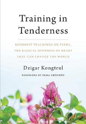 Training in Tenderness - Dzigar Kongtrul