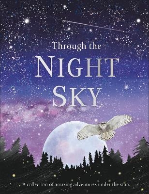 Through the Night Sky -  Dk