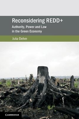 Reconsidering REDD+ - Julia Dehm