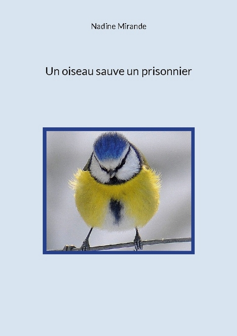 Un oiseau sauve un prisonnier - Nadine Mirande