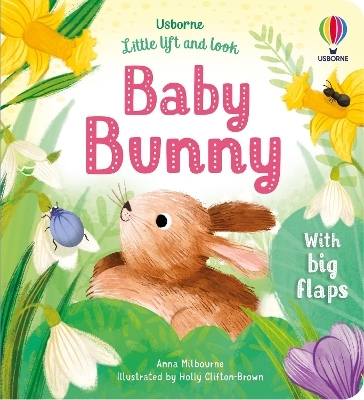 Little Lift and Look Baby Bunny - Anna Milbourne