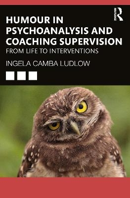 Humour in Psychoanalysis and Coaching Supervision - Ingela Camba Ludlow