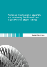 Numerical Investigation of Stationary and Instationary Two Phase Flows in Low Pressure Steam Turbines - Lucian Hanimann