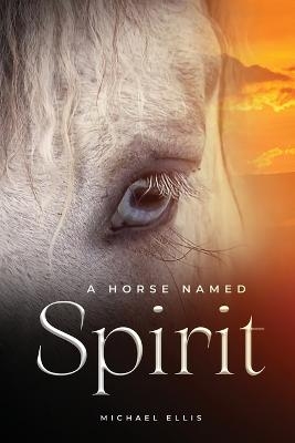 A Horse Named Spirit - Michael Ellis