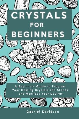 Crystal for Beginners - Gabriel Davidson