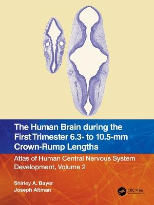 The Human Brain during the First Trimester 6.3- to 10.5-mm Crown-Rump Lengths - Shirley A. Bayer, Joseph Altman