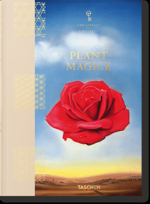 Pflanzen-Magie. Bibliothek der Esoterik - Jessica Hundley