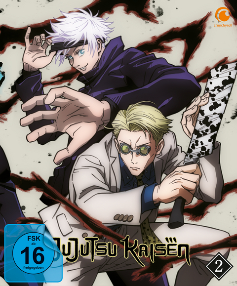 Jujutsu Kaisen - Staffel 1 - Vol.2 - DVD - Sung Hoo Park