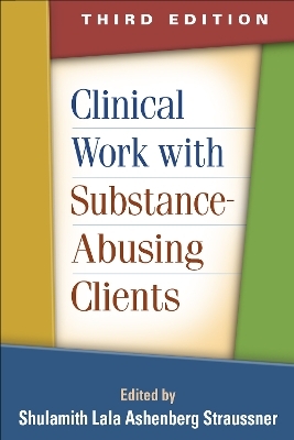 Clinical Work with Substance-Abusing Clients, Third Edition - 