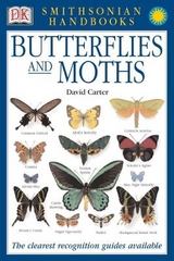 Butterflies & Moths - Carter, David