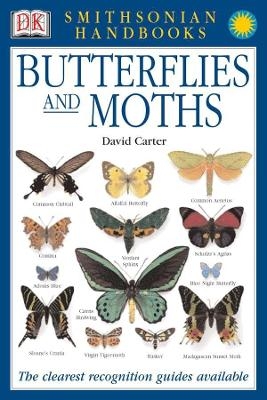 Butterflies & Moths - David Carter