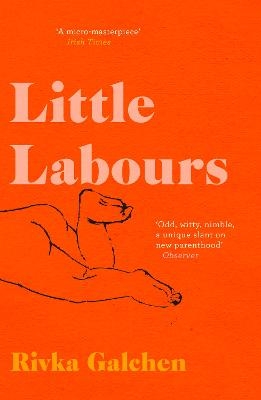 Little Labours - Rivka Galchen