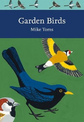 Garden Birds - Mike Toms