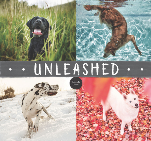 Unleashed -  Amanda Jones