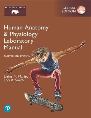 Human Anatomy & Physiology Laboratory Manual, Fetal Pig Version, Global Edition - Elaine Marieb, Lori Smith