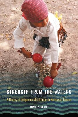 Strength from the Waters - James V. Mestaz