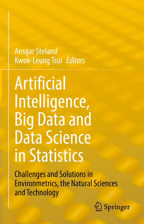 Artificial Intelligence, Big Data and Data Science in Statistics - 