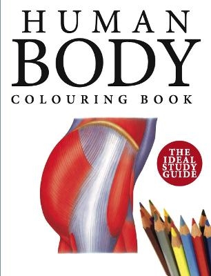 Human Body Colouring Book - Peter Abrahams