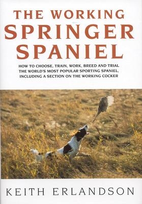 The Working Springer Spaniel - Keith Erlandson