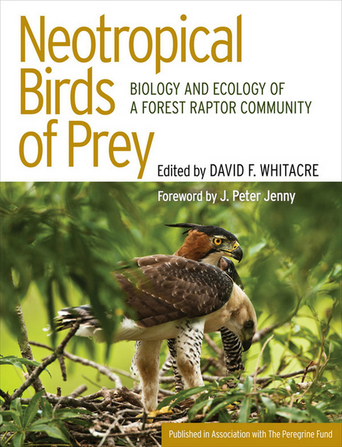 Neotropical Birds of Prey - 