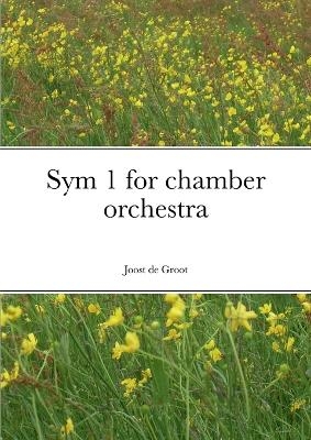 Sym 1 for chamber orchestra - Joost De Groot