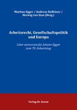 Arbeitsrecht, Gesellschaftspolitik und Europa - 