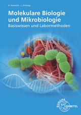 Molekulare Biologie und Mikrobiologie - Heribert Keweloh, Linda Frintrop