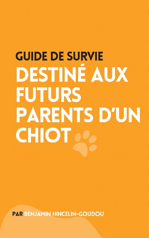 Guide de survie - Benjamin Hincelin-Goudou