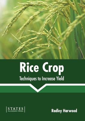 Rice Crop: Techniques to Increase Yield - 