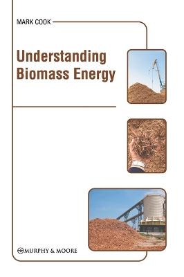 Understanding Biomass Energy - 